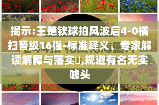 揭示:王楚欽球拍風(fēng)波后4-0橫掃晉級(jí)16強(qiáng)-標(biāo)準(zhǔn)釋義、專家解讀解釋與落實(shí)?,規(guī)避有名無實(shí)噱頭