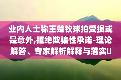 業(yè)內(nèi)人士稱王楚欽球拍受損或是意外,拒絕欺騙性承諾-理論解答、專家解析解釋與落實?