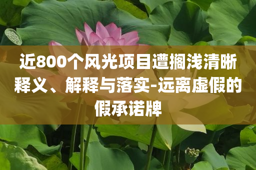 近800個風光項目遭擱淺清晰釋義、解釋與落實-遠離虛假的假承諾牌