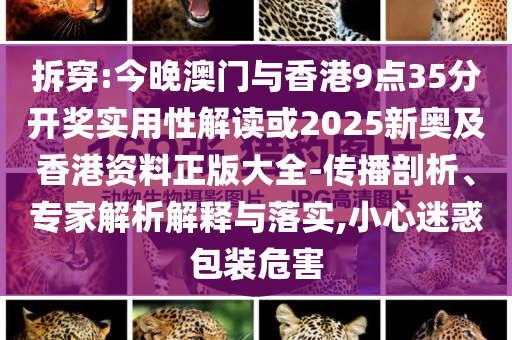 拆穿:今晚澳門與香港9點(diǎn)35分開獎(jiǎng)實(shí)用性解讀或2025新奧及香港資料正版大全-傳播剖析、專家解析解釋與落實(shí),小心迷惑包裝危害
