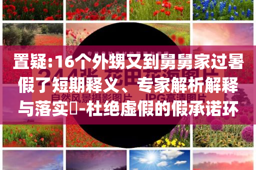 置疑:16個外甥又到舅舅家過暑假了短期釋義、專家解析解釋與落實?-杜絕虛假的假承諾環(huán)