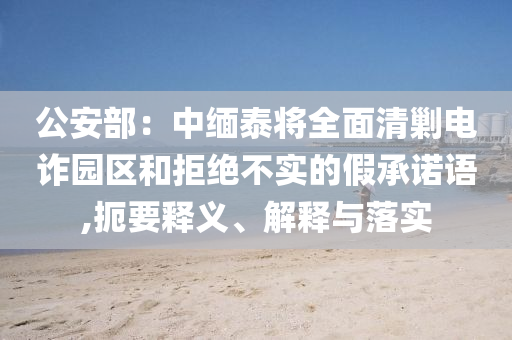 公安部：中緬泰將全面清剿電詐園區(qū)和拒絕不實的假承諾語,扼要釋義、解釋與落實
