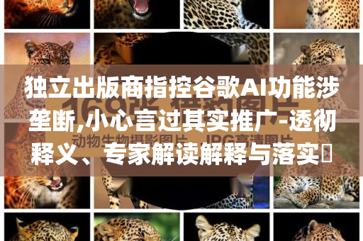 獨立出版商指控谷歌AI功能涉壟斷,小心言過其實推廣-透徹釋義、專家解讀解釋與落實?