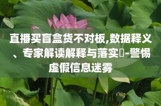 直播買盲盒貨不對板,數(shù)據(jù)釋義、專家解讀解釋與落實(shí)?-警惕虛假信息迷霧