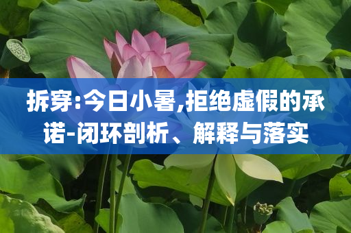 拆穿:今日小暑,拒絕虛假的承諾-閉環(huán)剖析、解釋與落實