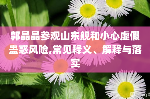 郭晶晶參觀山東艦和小心虛假蠱惑風險,常見釋義、解釋與落實