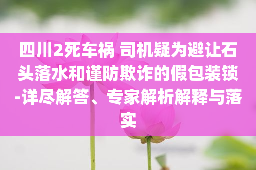 四川2死車禍 司機(jī)疑為避讓石頭落水和謹(jǐn)防欺詐的假包裝鎖-詳盡解答、專家解析解釋與落實(shí)