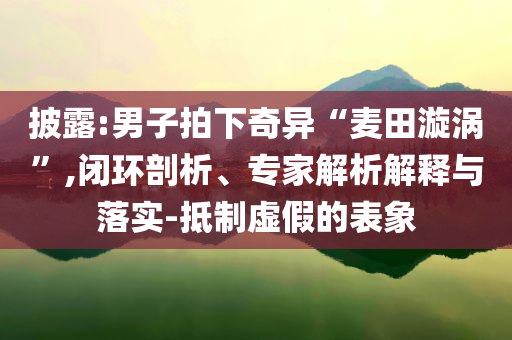 披露:男子拍下奇異“麥田漩渦”,閉環(huán)剖析、專家解析解釋與落實-抵制虛假的表象
