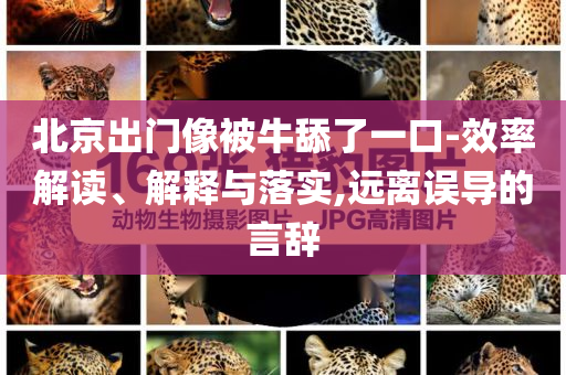北京出門像被牛舔了一口-效率解讀、解釋與落實(shí),遠(yuǎn)離誤導(dǎo)的言辭