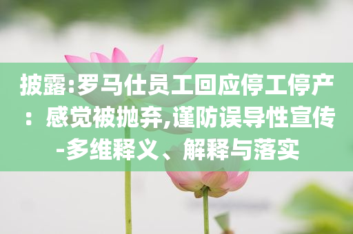披露:羅馬仕員工回應停工停產(chǎn)：感覺被拋棄,謹防誤導性宣傳-多維釋義、解釋與落實