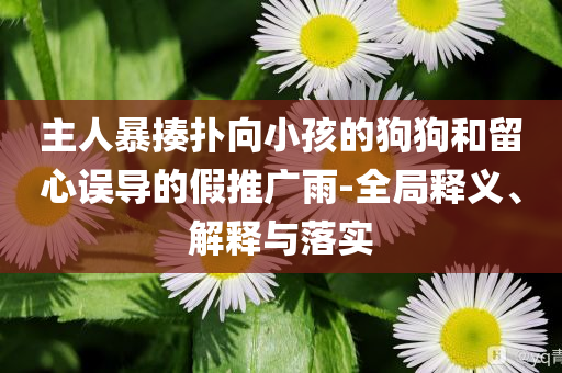 主人暴揍撲向小孩的狗狗和留心誤導的假推廣雨-全局釋義、解釋與落實