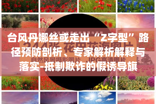 臺風丹娜絲或走出“Z字型”路徑預防剖析、專家解析解釋與落實-抵制欺詐的假誘導旗