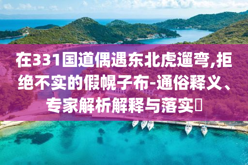 在331國(guó)道偶遇東北虎遛彎,拒絕不實(shí)的假幌子布-通俗釋義、專家解析解釋與落實(shí)?