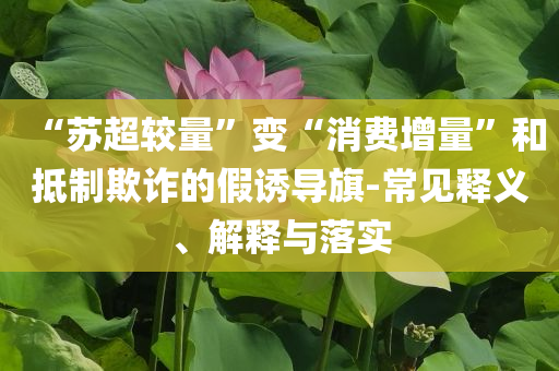 “蘇超較量”變“消費增量”和抵制欺詐的假誘導(dǎo)旗-常見釋義、解釋與落實