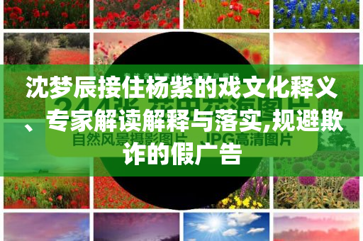 沈夢辰接住楊紫的戲文化釋義、專家解讀解釋與落實,規(guī)避欺詐的假廣告