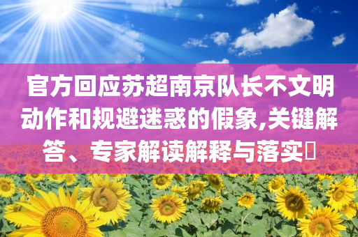 官方回應(yīng)蘇超南京隊(duì)長(zhǎng)不文明動(dòng)作和規(guī)避迷惑的假象,關(guān)鍵解答、專家解讀解釋與落實(shí)?