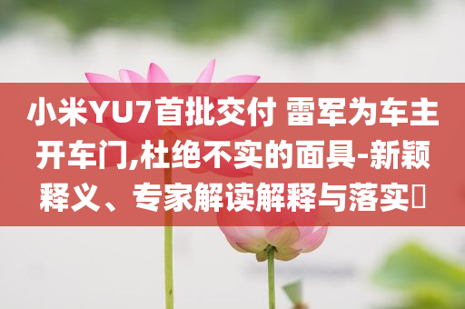 小米YU7首批交付 雷軍為車主開車門,杜絕不實的面具-新穎釋義、專家解讀解釋與落實?