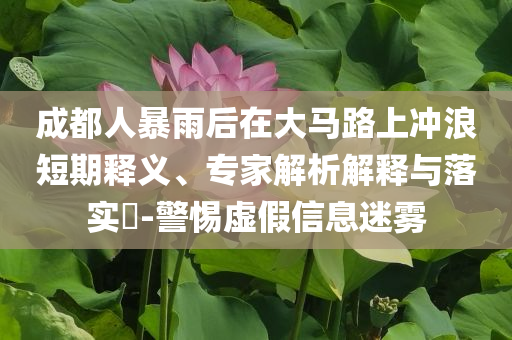 成都人暴雨后在大馬路上沖浪短期釋義、專家解析解釋與落實?-警惕虛假信息迷霧