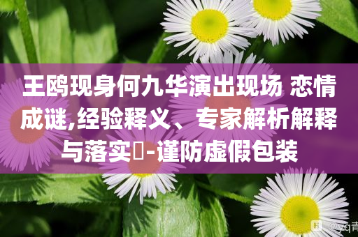 王鷗現(xiàn)身何九華演出現(xiàn)場 戀情成謎,經(jīng)驗釋義、專家解析解釋與落實?-謹防虛假包裝