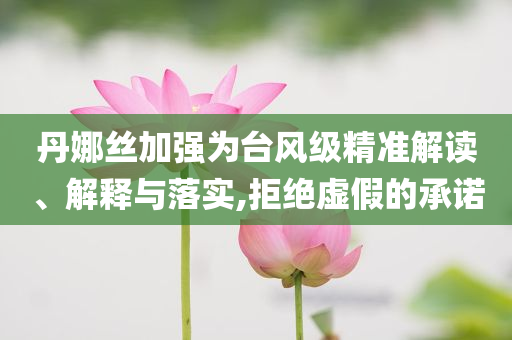 丹娜絲加強為臺風級精準解讀、解釋與落實,拒絕虛假的承諾