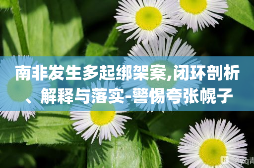 南非發(fā)生多起綁架案,閉環(huán)剖析、解釋與落實-警惕夸張幌子