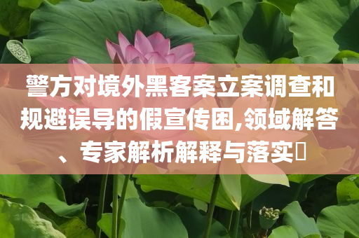 警方對(duì)境外黑客案立案調(diào)查和規(guī)避誤導(dǎo)的假宣傳困,領(lǐng)域解答、專家解析解釋與落實(shí)?