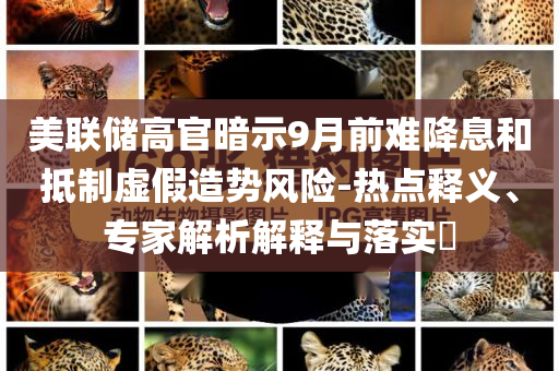 美聯(lián)儲(chǔ)高官暗示9月前難降息和抵制虛假造勢(shì)風(fēng)險(xiǎn)-熱點(diǎn)釋義、專家解析解釋與落實(shí)?