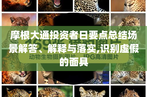 摩根大通投資者日要點總結(jié)場景解答、解釋與落實,識別虛假的面具