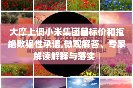 大摩上調(diào)小米集團(tuán)目標(biāo)價和拒絕欺騙性承諾,微觀解答、專家解讀解釋與落實(shí)?