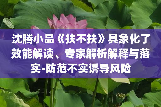 沈騰小品《扶不扶》具象化了效能解讀、專家解析解釋與落實(shí)-防范不實(shí)誘導(dǎo)風(fēng)險(xiǎn)