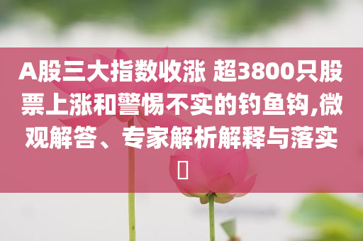 A股三大指數(shù)收漲 超3800只股票上漲和警惕不實(shí)的釣魚(yú)鉤,微觀解答、專(zhuān)家解析解釋與落實(shí)?