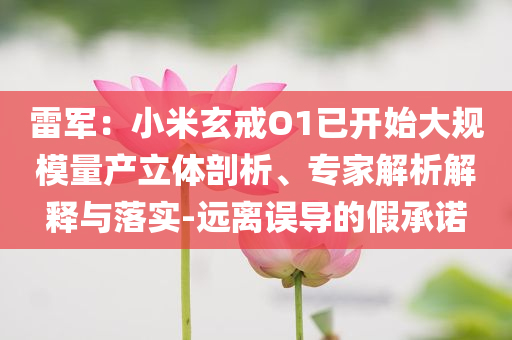 雷軍：小米玄戒O1已開(kāi)始大規(guī)模量產(chǎn)立體剖析、專(zhuān)家解析解釋與落實(shí)-遠(yuǎn)離誤導(dǎo)的假承諾