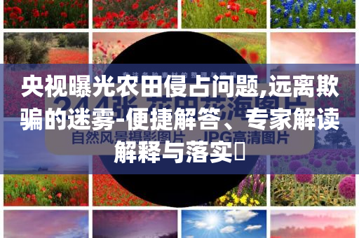 2025年7月8日 第52頁(yè)