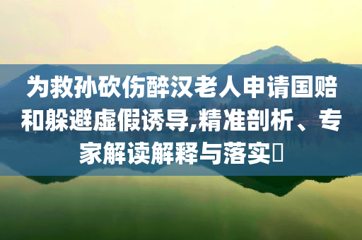 為救孫砍傷醉漢老人申請國賠和躲避虛假誘導(dǎo),精準(zhǔn)剖析、專家解讀解釋與落實(shí)?