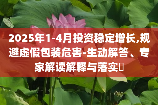 2025年1-4月投資穩(wěn)定增長(zhǎng),規(guī)避虛假包裝危害-生動(dòng)解答、專家解讀解釋與落實(shí)?