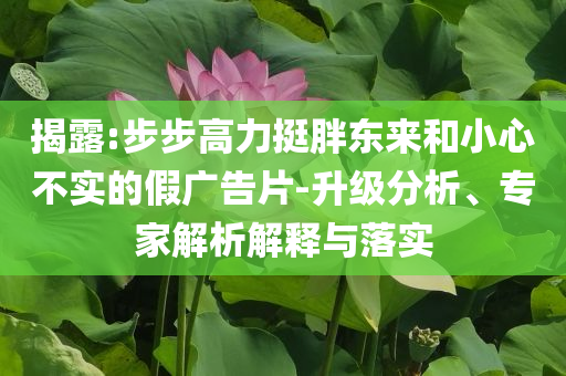 揭露:步步高力挺胖東來和小心不實的假廣告片-升級分析、專家解析解釋與落實