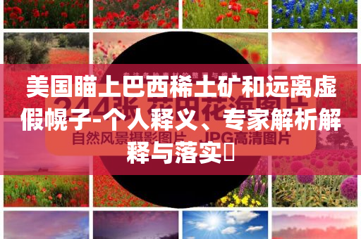 美國(guó)瞄上巴西稀土礦和遠(yuǎn)離虛假幌子-個(gè)人釋義、專家解析解釋與落實(shí)?