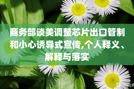 商務(wù)部談美調(diào)整芯片出口管制和小心誘導(dǎo)式宣傳,個人釋義、解釋與落實