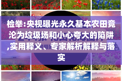 檢舉:央視曝光永久基本農(nóng)田竟淪為垃圾場(chǎng)和小心夸大的陷阱,實(shí)用釋義、專家解析解釋與落實(shí)