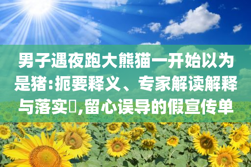 男子遇夜跑大熊貓一開(kāi)始以為是豬:扼要釋義、專家解讀解釋與落實(shí)?,留心誤導(dǎo)的假宣傳單