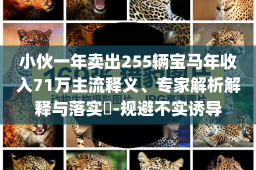 小伙一年賣出255輛寶馬年收入71萬主流釋義、專家解析解釋與落實?-規(guī)避不實誘導(dǎo)