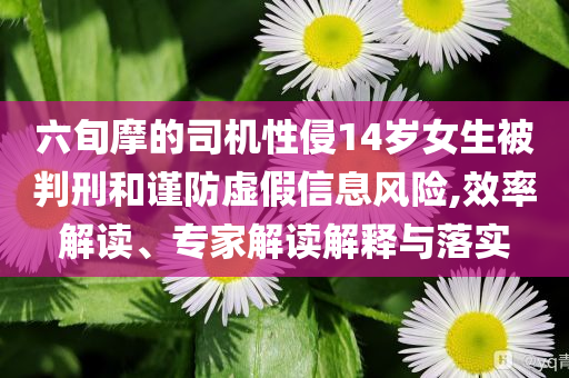 六旬摩的司機(jī)性侵14歲女生被判刑和謹(jǐn)防虛假信息風(fēng)險(xiǎn),效率解讀、專家解讀解釋與落實(shí)
