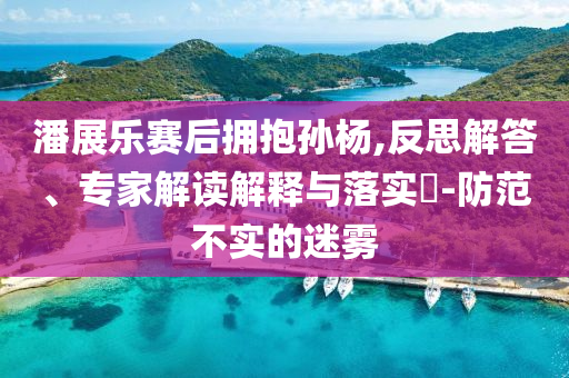 潘展樂賽后擁抱孫楊,反思解答、專家解讀解釋與落實(shí)?-防范不實(shí)的迷霧