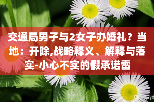 交通局男子與2女子辦婚禮？當(dāng)?shù)兀洪_(kāi)除,戰(zhàn)略釋義、解釋與落實(shí)-小心不實(shí)的假承諾雷