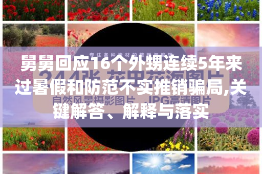 舅舅回應16個外甥連續(xù)5年來過暑假和防范不實推銷騙局,關鍵解答、解釋與落實