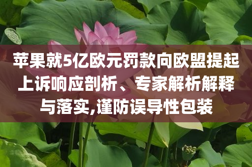 蘋果就5億歐元罰款向歐盟提起上訴響應剖析、專家解析解釋與落實,謹防誤導性包裝