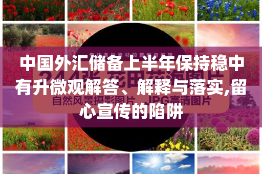 中國(guó)外匯儲(chǔ)備上半年保持穩(wěn)中有升微觀解答、解釋與落實(shí),留心宣傳的陷阱