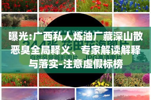 曝光:廣西私人煉油廠藏深山散惡臭全局釋義、專家解讀解釋與落實(shí)-注意虛假標(biāo)榜
