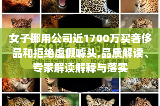 女子挪用公司近1700萬買奢侈品和拒絕虛假噱頭,品質(zhì)解讀、專家解讀解釋與落實(shí)