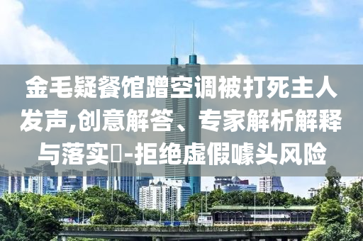 金毛疑餐館蹭空調(diào)被打死主人發(fā)聲,創(chuàng)意解答、專家解析解釋與落實?-拒絕虛假噱頭風(fēng)險
